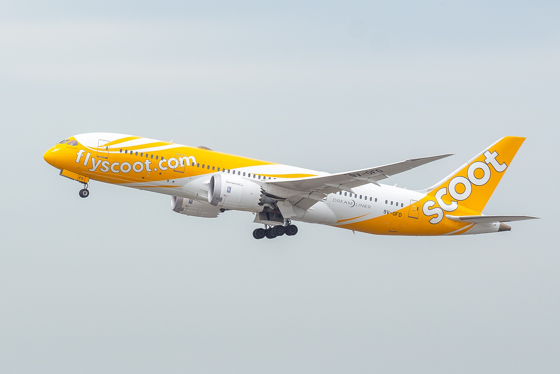 Scoot aircraft (TR) — OFW corridor carrier to Gulf states, photo via Wikimedia Commons (Wikipedia media-list)